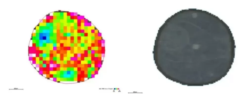 Spatial distribution and segmentation mapping of metabolites m/z 464.1908 at 100 μm resolution